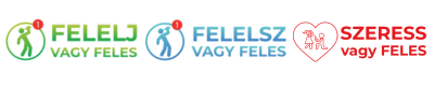 Felelsz vagy Feles                        